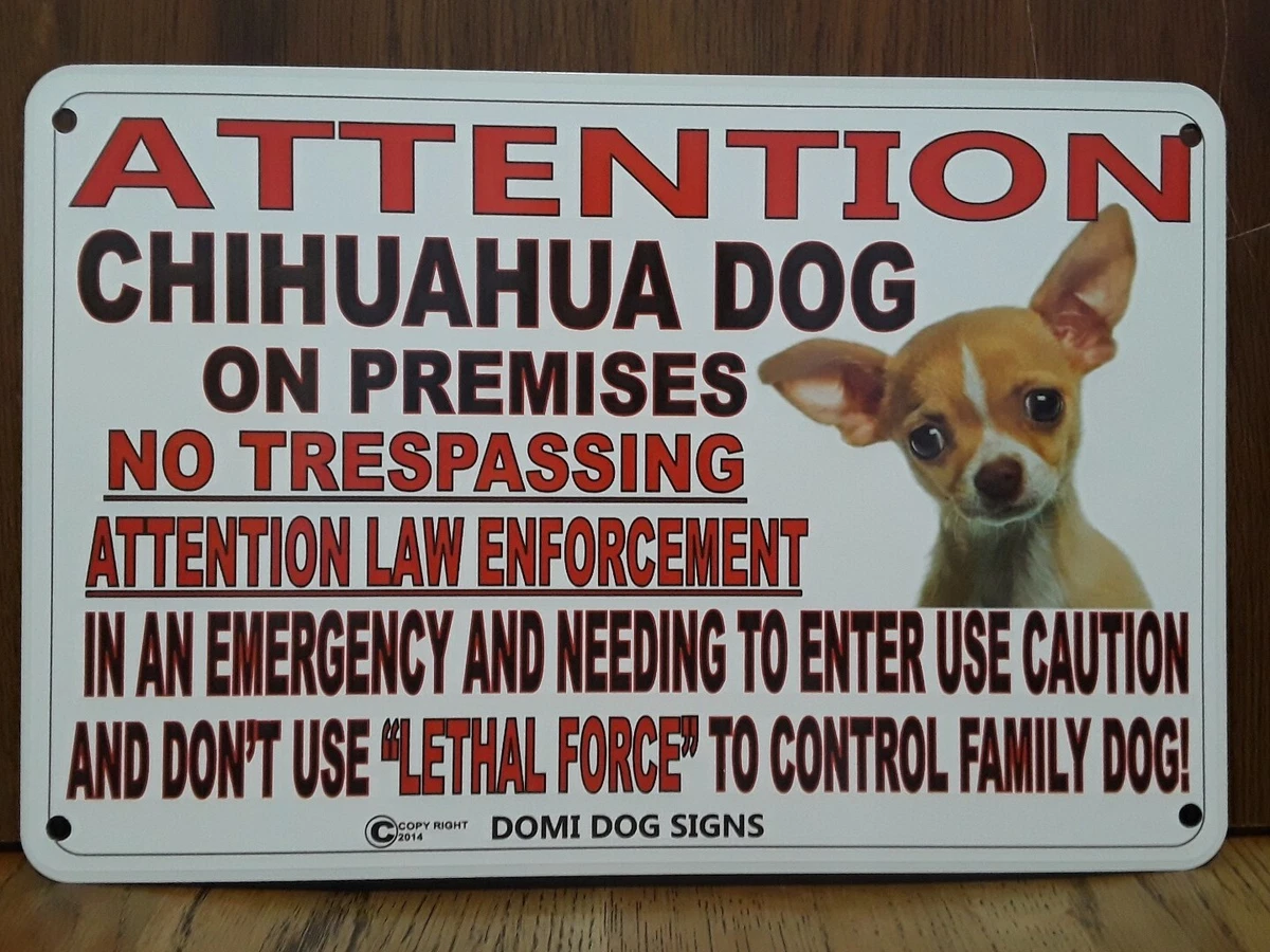 Invisible fence for chihuahua sales