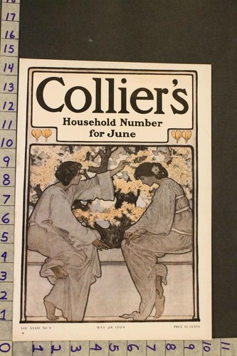 1904 FASHION FLOWER BLOSSOM SPRING BOTANY ROMANCE JESSIE SMITH ART COVER SD19
