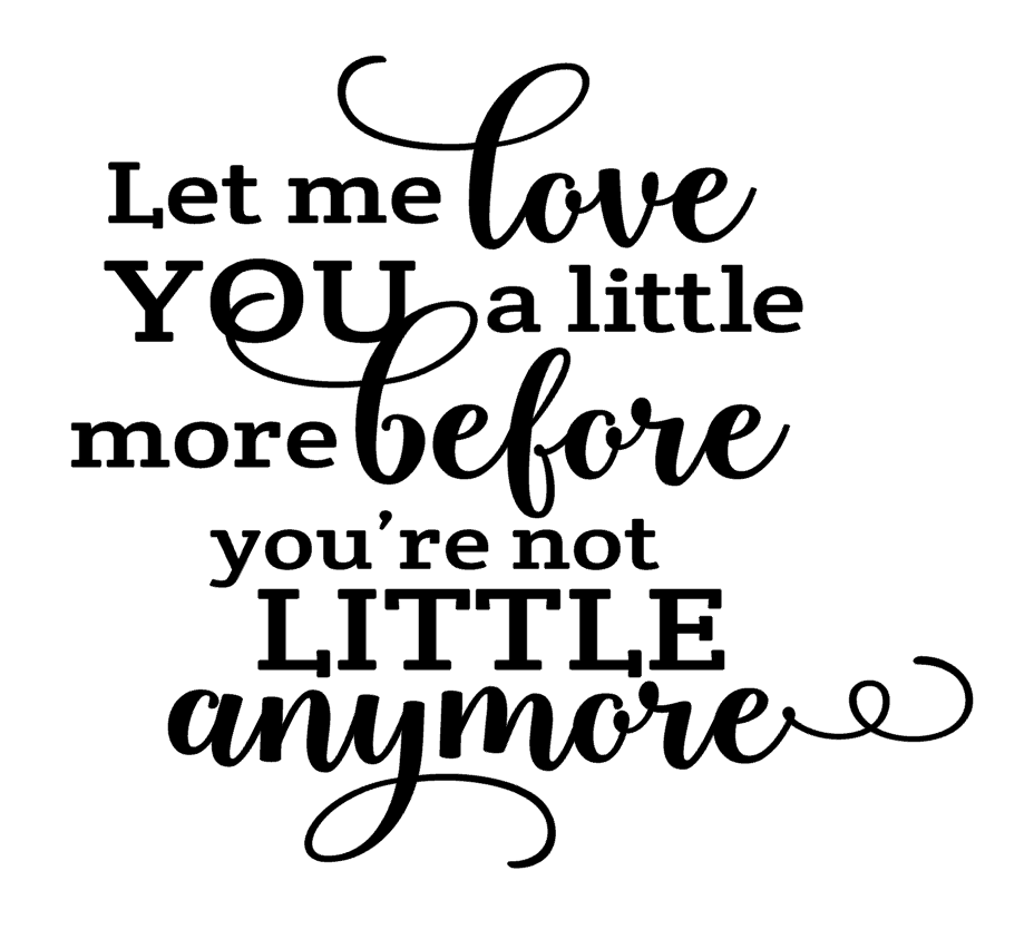 Let Me Love you A Little More Before You're Not Little Anymore Vinyl Decal a2412