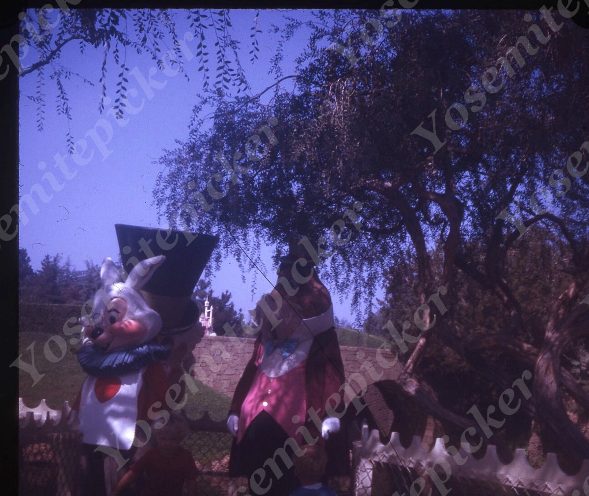 ナタリーショウ 『LOST IN WONDERLAND』 61+UGru6g9L._AC_SY200_QL15_.jpg