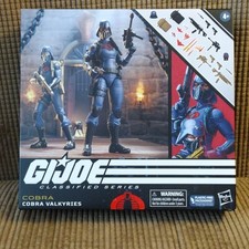 Hasbro G.I. Joe Classified Cobra Valkyries Officer & Trooper 2-Figure 5.9in