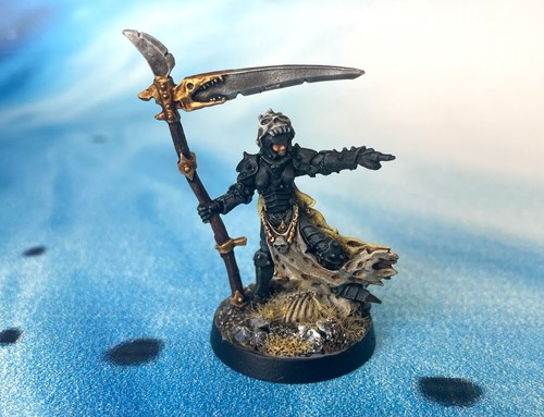 Necromancer Sweetly Painted/Based Dungeons & Dragons Miniatures s1049