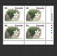 CANADA - 1991 STANLEY PLUM - LOWER RIGHT PLATE BLOCK - SCOTT 1371 - MNH