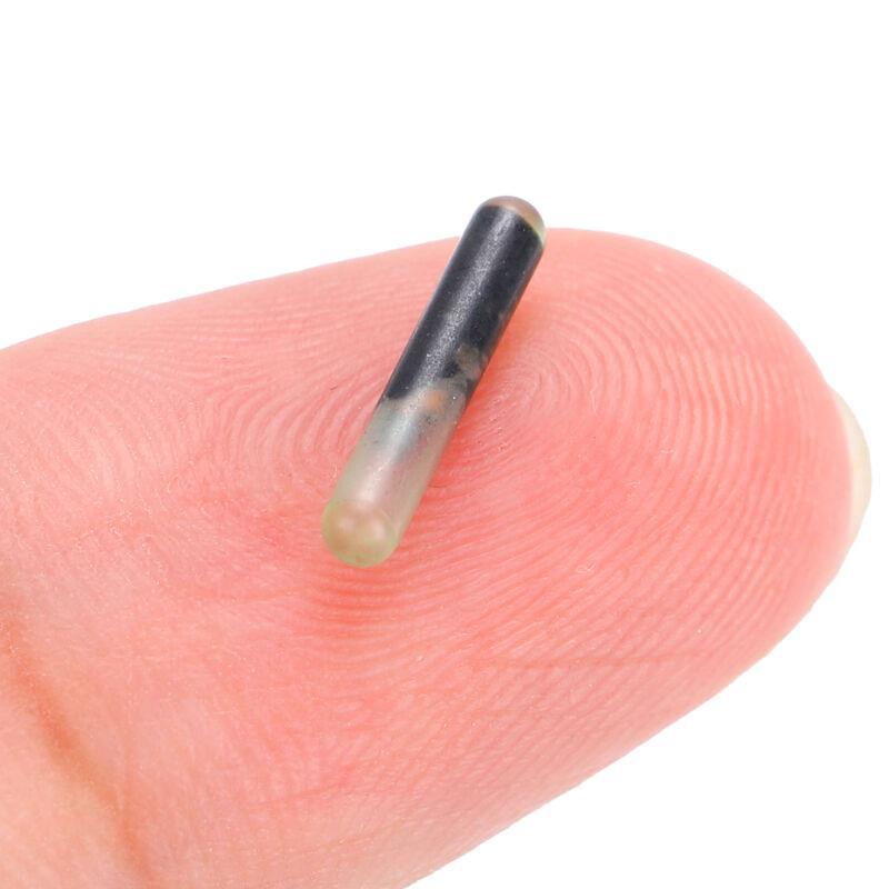 10 x 2,12 mm GlasPETTierMikrochipImplantate Tag für Mikrochips eBay