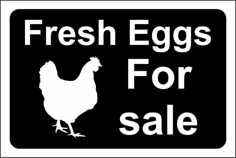 DEVON MADE Fresh eggs for sale metal park safety sign