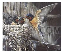 Wilhelm Goebel Country Living - Barn Swallow