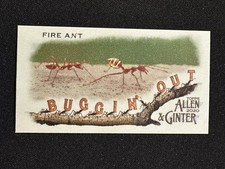 Fire Ant 2020 Topps Allen & Ginter #MBO-16 Mini Buggin Out