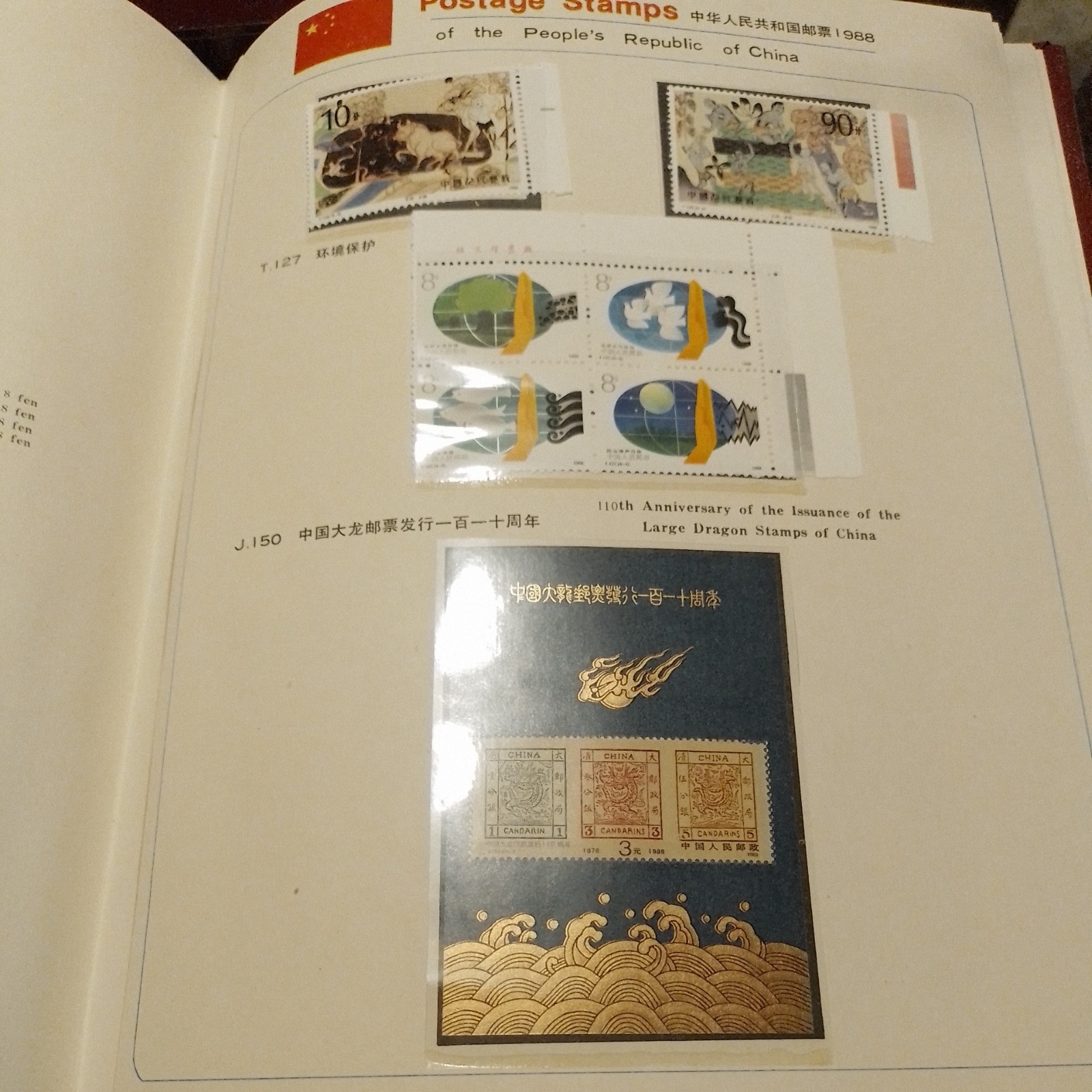 Picture 6 of 11
