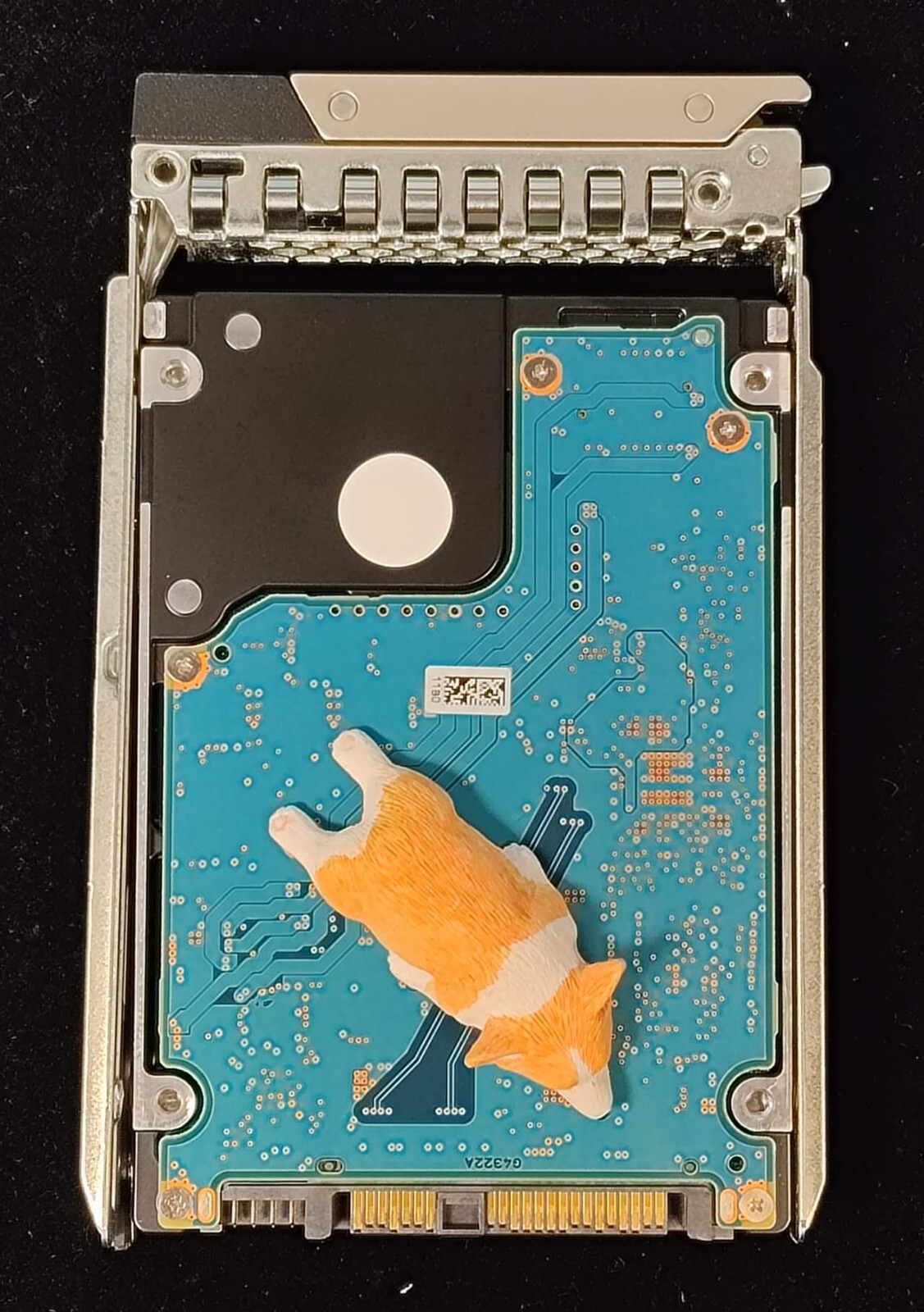 Picture 4 of 4