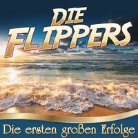 Die Flippers: Die Ersten GroßEn Erfolge - - (Cd / D)