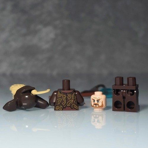 Custom Lego Radagast Minifigure, Lor082, Lord Of The Rings 79014 - Picture 6 of 10