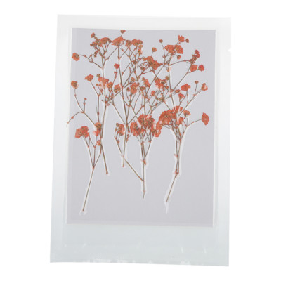 12pcs Pressed Real Dried Flowers Babysbreath for DIY Art Craft Scrapbooking 12pcs Pressed Real Dried Flowers Babysbreath for DIY Art Craft Scrapbooking