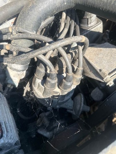 1994 Land Rover Discovery 3.9L V8 Distributor, 89-98 Range Rover SD1 #B474