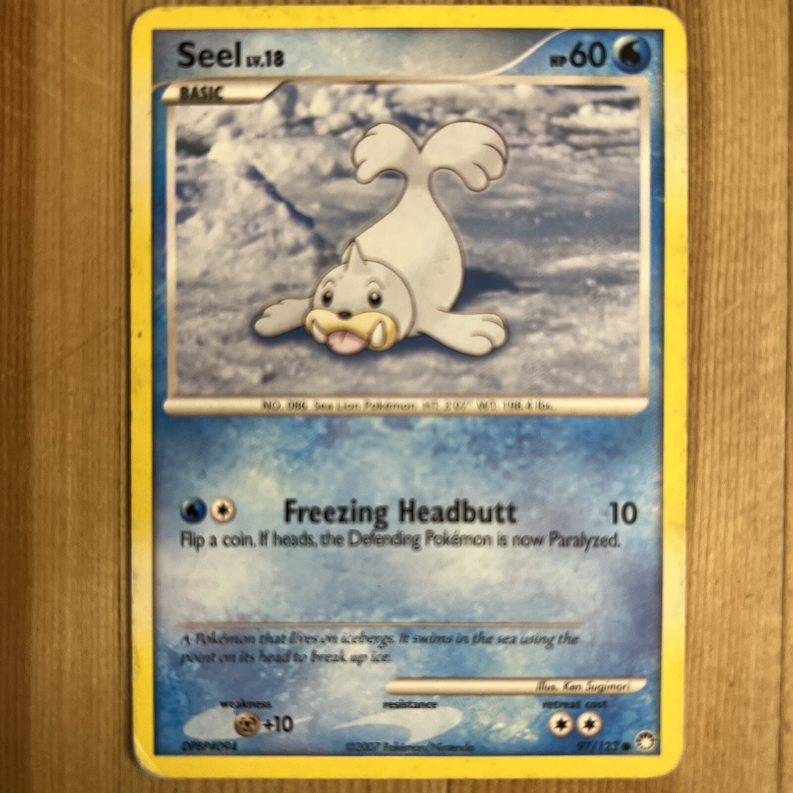 Seel