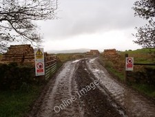 Photo 12x8 Track beyond Craigenputtock Craigenputtock Burn Timber forwarde c2011
