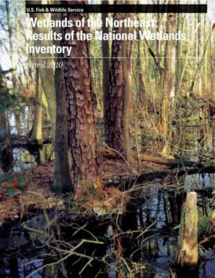 Wetlands Of The Northeast: Results Of The National Wetlands Inventory