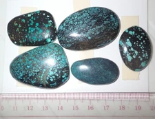 Turquoise Stone Flat Free Form Cabochon 189 Carat 5 pieces 37.8 gram Lot A