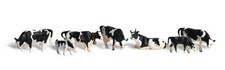 O Holstein Cows