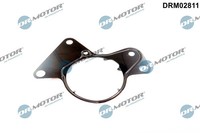 Dr. Motor Automotive DRM02811 Dichtungsring, Kraftstoffpumpe Vw 070145215