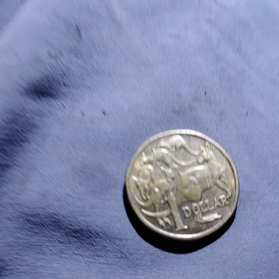 1984 RARO AUSTRALIANO US$ 1 MOEDA ÓLEO CHEIO CANGURU ERRO EM PERFEITO ESTADO - Imagem 2 de 4