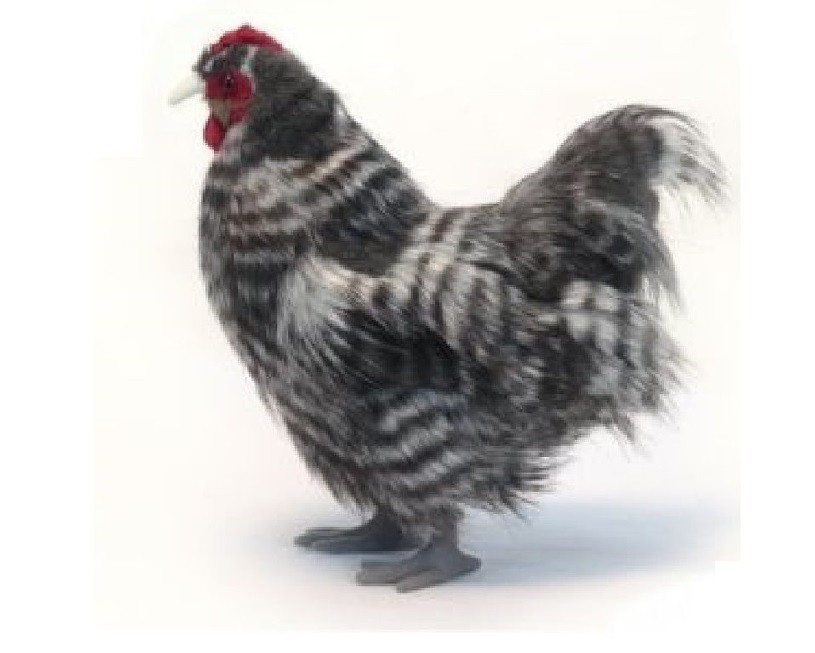 Hansa Toy 6479 Gray Chicken 30 Cm Plush Toy Stuffed Animal