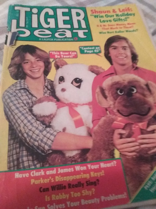 Tiger Beat December 1977 Leif Shaun Robby Benson Farrah Parker Lance Kerwin 