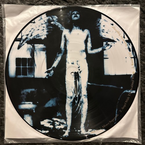 Marilyn Manson Antichrist Superstar 2LP Picture Disc Reissue 2006 Nothing Recs. - Picture 6 of 10