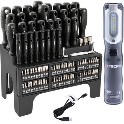 TECPO SCHRAUBENDREHER mit BITSORTIMENT + WERKSTATTLAMPE AKKU LED 500 LUMEN