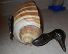 Picture 8 of 8