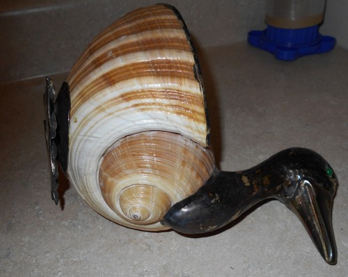 Bronze/ Silver Shell Duck Goose Gabriella Binazzi - Picture 8 of 8