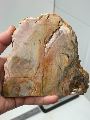 Gary Green Caldera Freedom Jasper Slab Cabbing Lapidary Combo Ship Avail