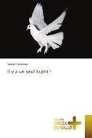 Samuel Cameroun | Il Y A Un Seul Esprit ! | Taschenbuch | FranzöSisch (2020)