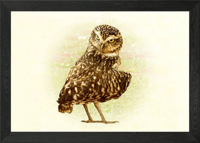 Grabende Eule gerahmtes Wandbild Poster Leinwanddruck Bild