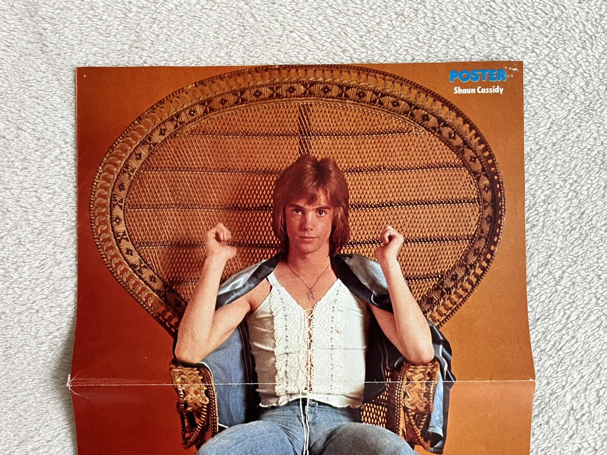 SHAUN CASSIDY 1978 Swedish Poster Music Magazine Vintage Rare