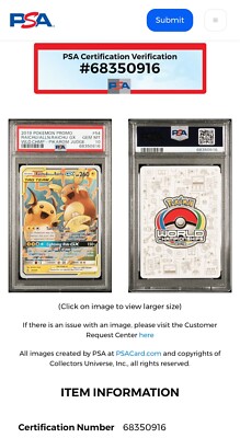 Raichu & Alolan Raichu GX - 2019 (Haruki Miyamoto) 54/236 World
