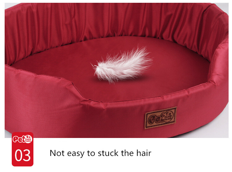 coleman comfort bed compact single