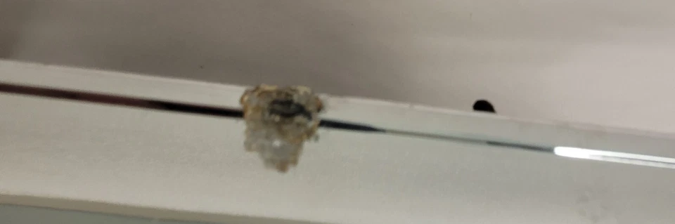 1963 Chrysler 300 Grille Center Bar Chrome W/O Medallion Emblem 2276412. - Image 4 of 4