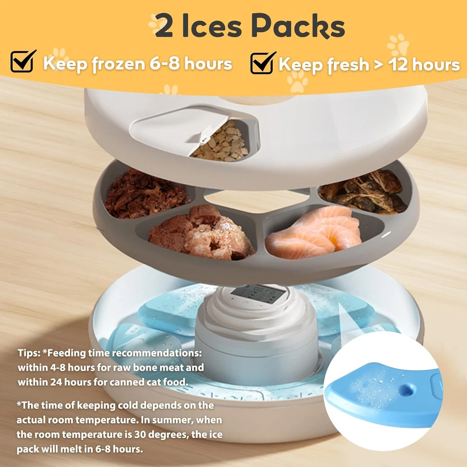 Distributore Automatico Cibo Umido Gatti Cani Dispenser Crocchette Gatto Con Tim - Immagine 4 di 4