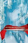Witchlanders by Lena Coakley (Paperback / softback, 2012)
