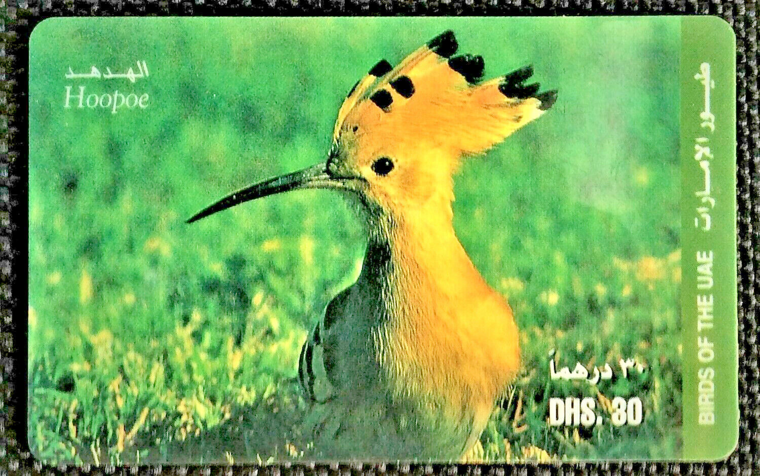 Rare UAE used Phone Cards UAE Birds HOOPOE Birds of UAE
