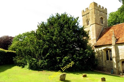 Photo 6x4 The yew tree by Rycote Chapel Tiddington/SP6504 The yew tree t c2014