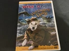 Wishbone - Hot Diggety Dog DVD