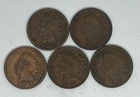1889 1898 1901 1904 1907 Indian Head Cent Lot of 5