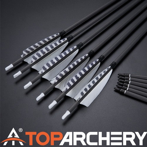 Archery 32" Arrows Carbon Arrows SP400 Feather Screw-in Points Targeting Arrows - Picture 2 of 30