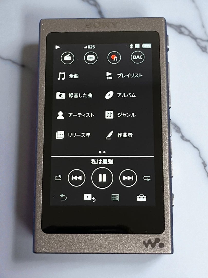 Sony Walkman NW-A45 16GB BLACK Bluetooth Hi-Res Digital Media
