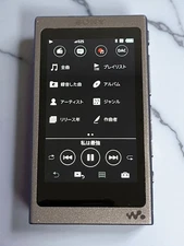 Sony Walkman NW-A45 16GB BLACK Bluetooth Hi-Res Digital Media Player Used