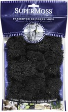 21401 Reindeer Moss Soft Preserved Moss for Home Decor, Crafts, Terrarium...