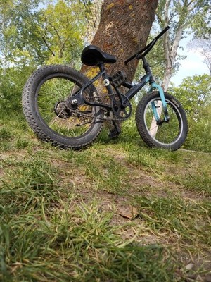 Britax Römer Fahrrad-Kindersitz Rückseite schwarz Kindersicherungsgurt Fußstütze
