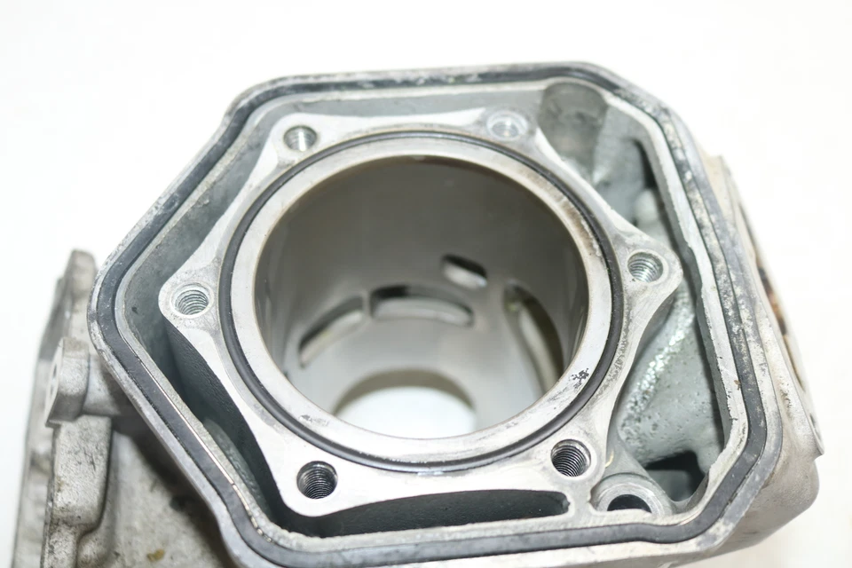 Ski-doo Mxz Renegade X 600 Ho Sdi 2004 motor revoluciones cilindro pistón jarra Foto 4 de 4