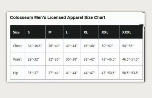 Sudadera con capucha grande para hombre Notre Dame Fighting Irish NCAA Coliseo - Imagen 2 de 2